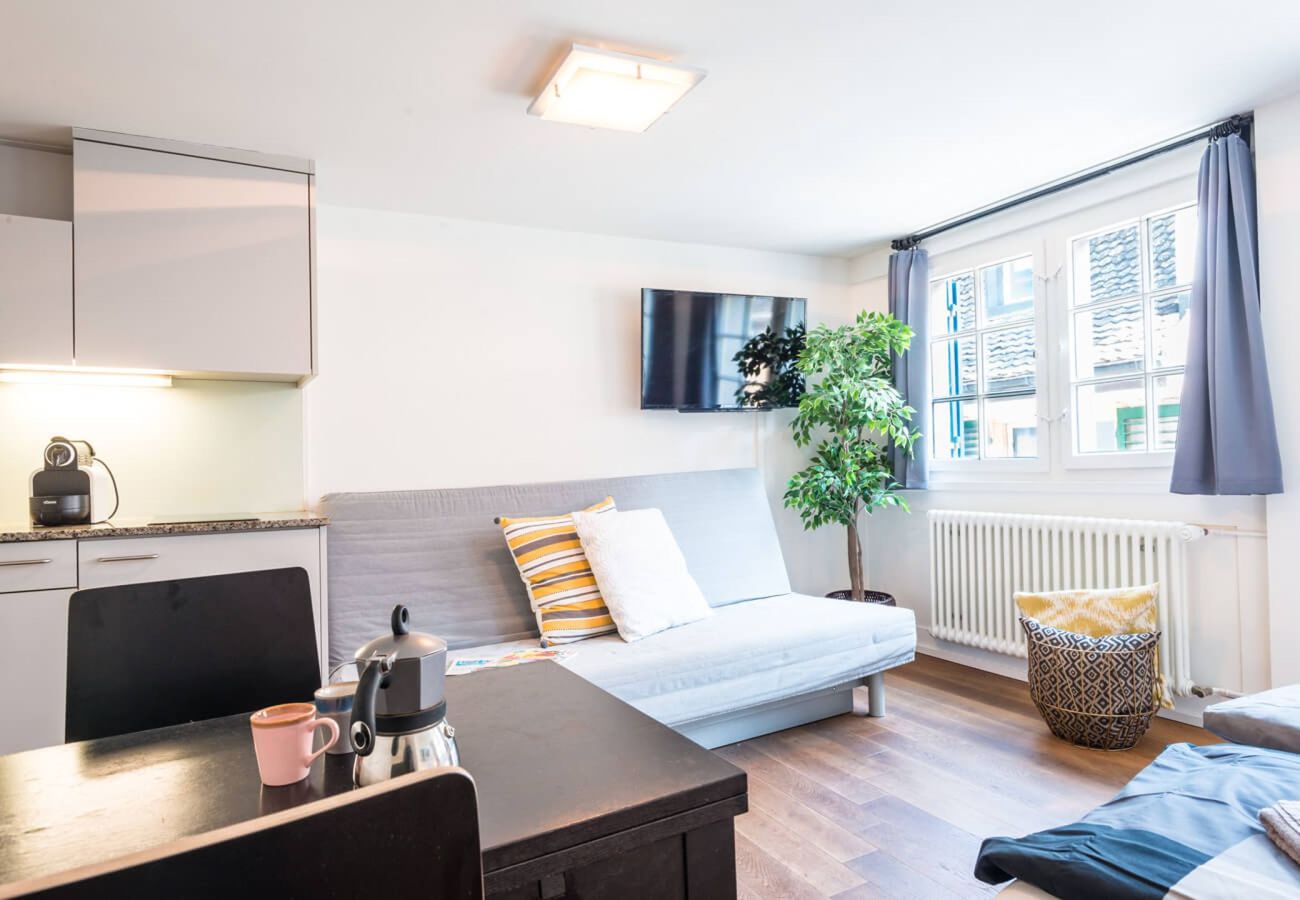 Studio in Zürich - ZH Gasse 3 - HITrental Apartment