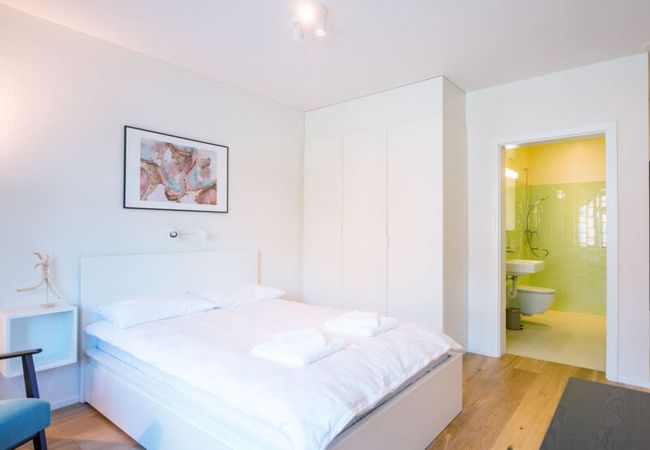  in Zurich - ZH Radius - Riesbach HITrental Apartments