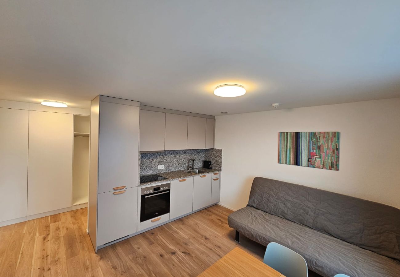 Apartamento en Zurich - ZH Green 5- Letzigrund HITrental Apartment