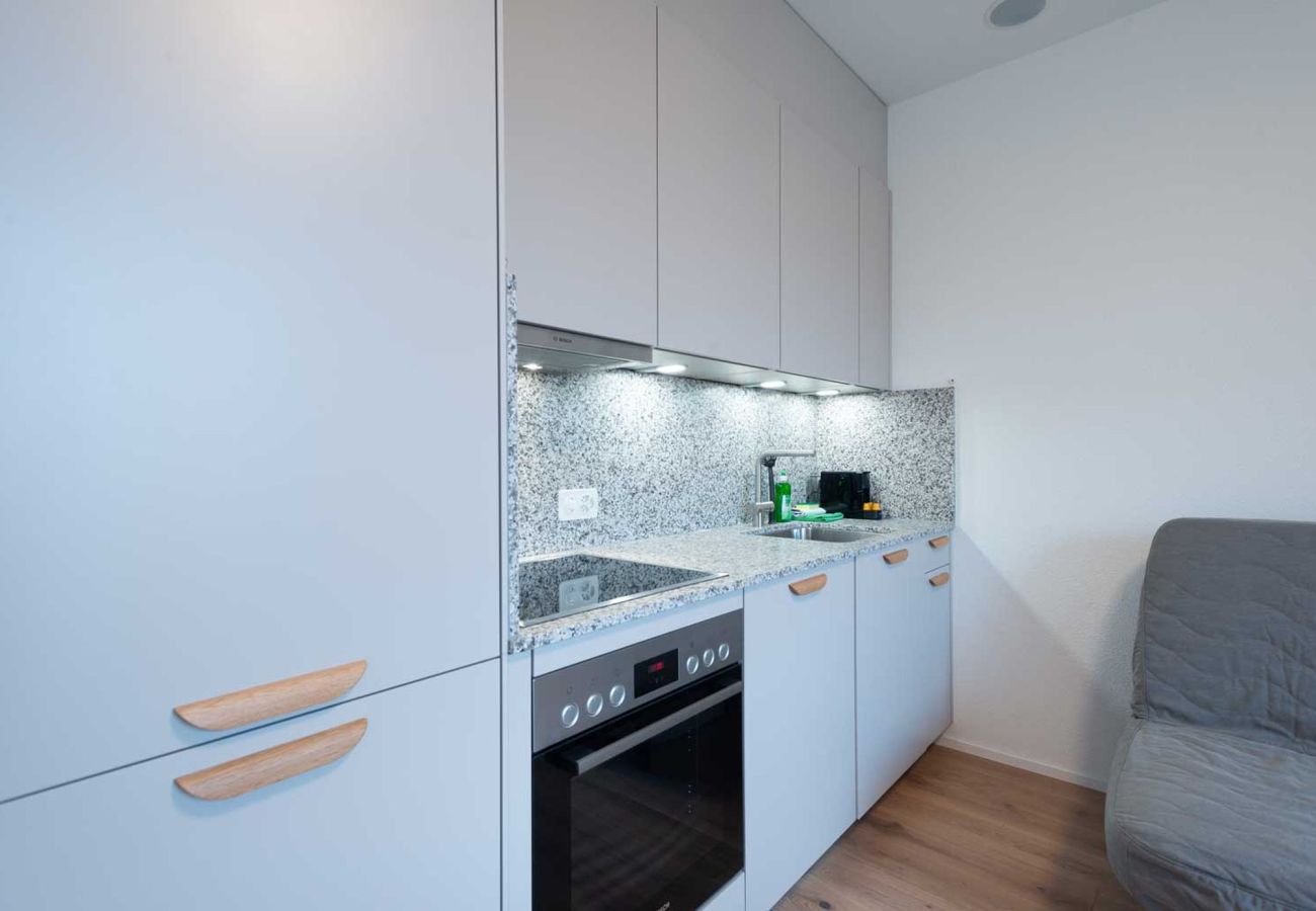 Apartamento en Zurich - ZH Green 5- Letzigrund HITrental Apartment