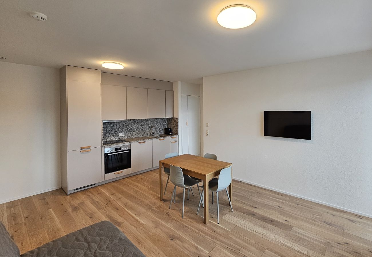 Apartamento en Zurich - ZH Blue 4 - Letzigrund HITrental Apartment