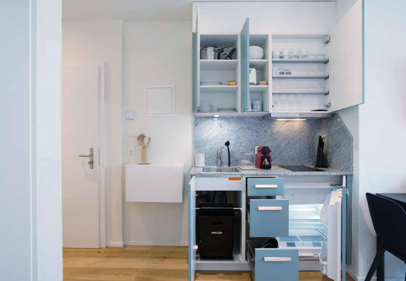 Estudio en Zurich - ZH Radius - Riesbach HITrental Apartments