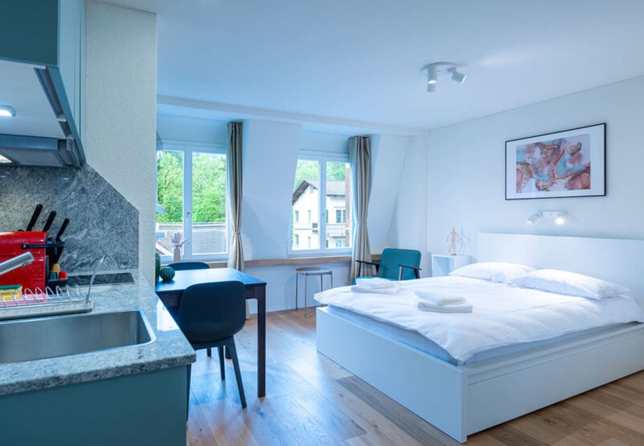 Estudio en Zurich - ZH Maxilla 3 - Riesbach HITrental Apartments