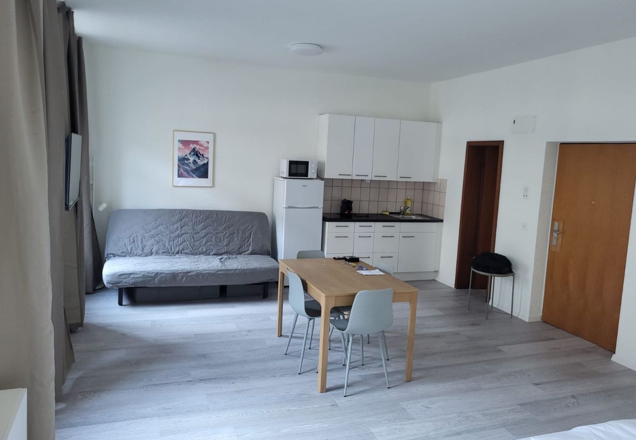 Estudio en Zurich - ZH Utoquai 2 - HITrental Seefeld Apartment