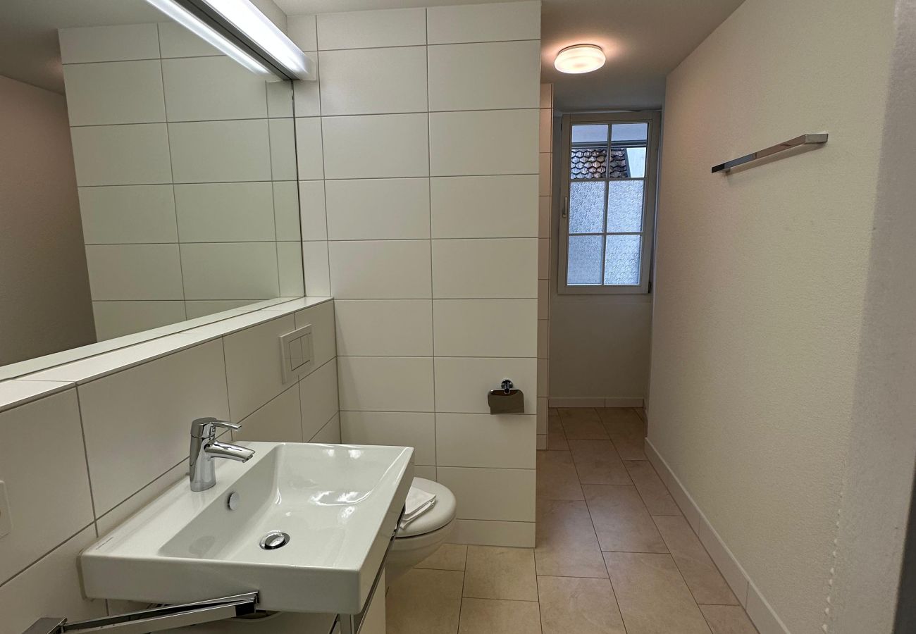 Apartamento en Zúrich - ZH Brecht 3 - Limmatquai HITrental Apartment