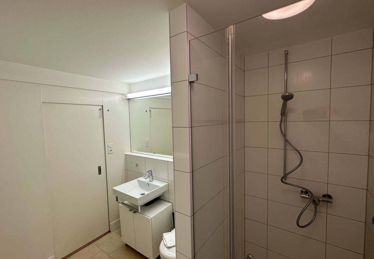 Apartamento en Zúrich - ZH Brecht 3 - Limmatquai HITrental Apartment