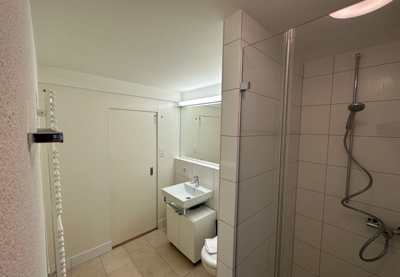 Apartamento en Zúrich - ZH Brecht 3 - Limmatquai HITrental Apartment