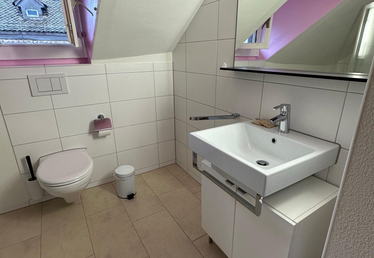 Apartamento en Zúrich - ZH Hesse 4 - Limmatquai HITrental Apartment