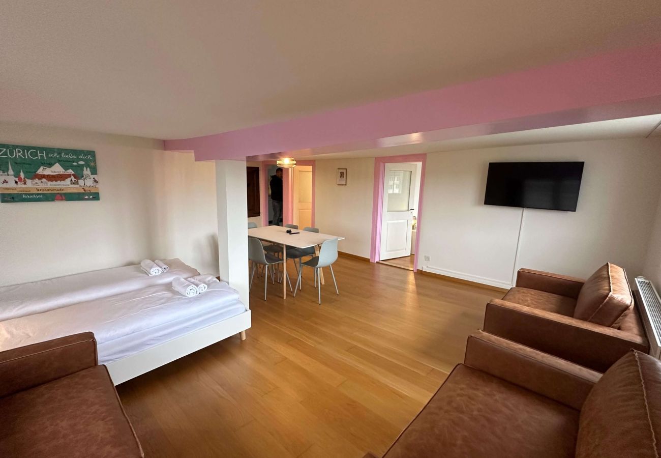 Apartamento en Zurich - ZH Hesse 4 - Limmatquai HITrental Apartment