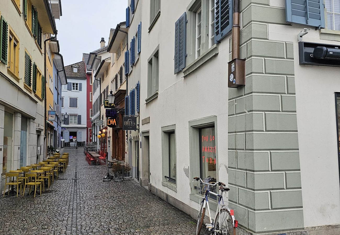 Appartement à Zurich - ZH Hesse 4 - Limmatquai HITrental Apartment