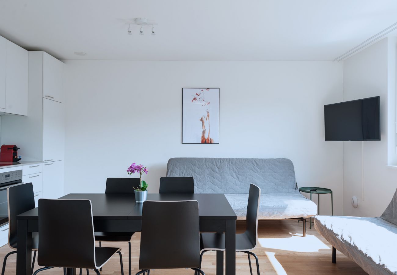 Apartament w Basel - BS Wolf V - Messe HITrental Apartment