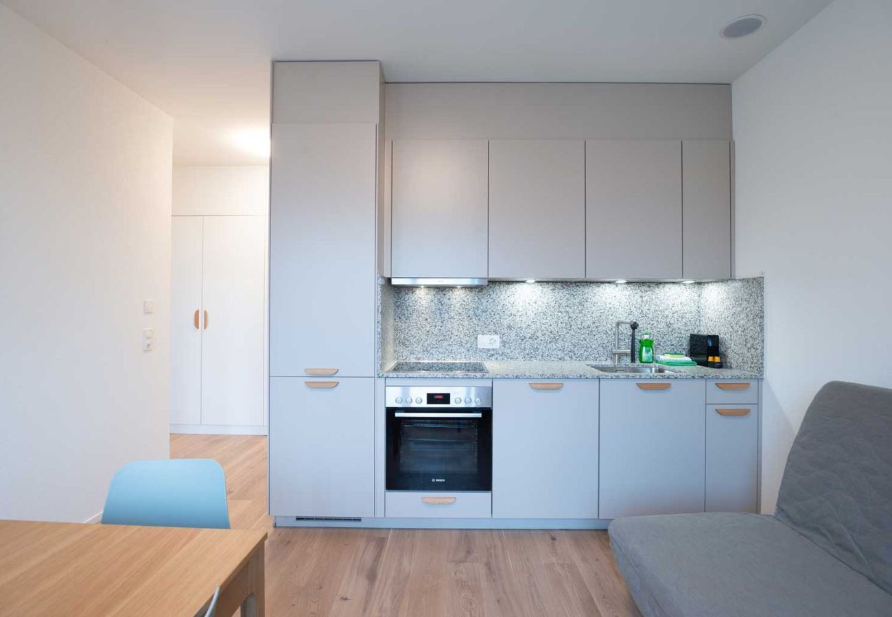 Apartamento em Zurich - ZH Green 5- Letzigrund HITrental Apartment