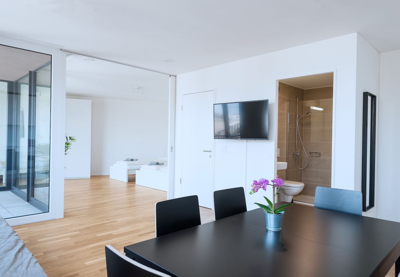 Апартаменты на Basel - BS Rabbit V - Messe HITrental Apartment