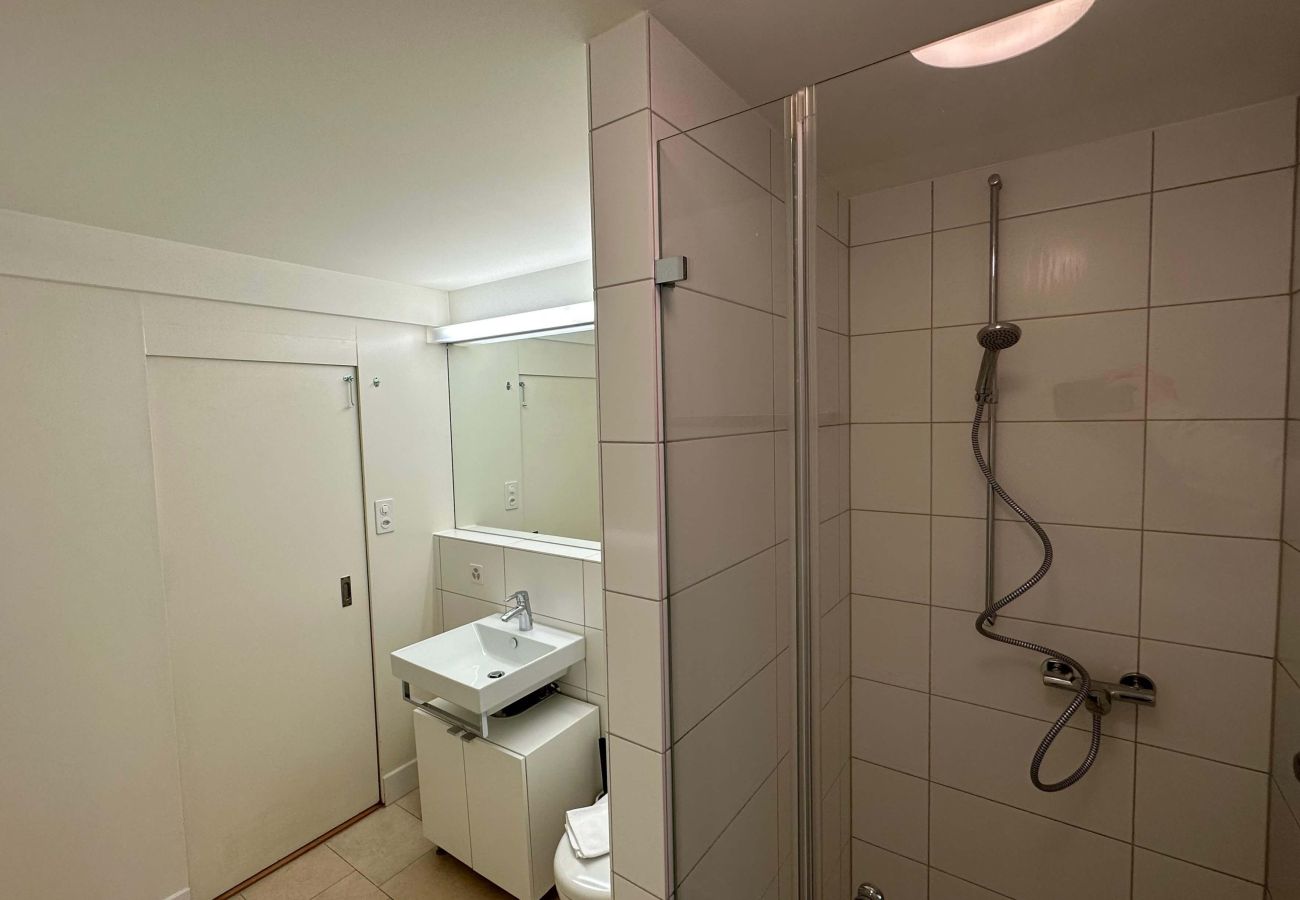 Апартаменты на Zurich - ZH Brecht 3 - Limmatquai HITrental Apartment